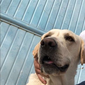 Meet your Posher, Jasmine